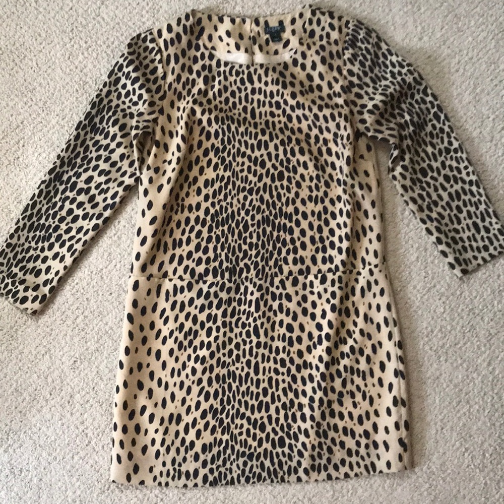 Jcrew dress